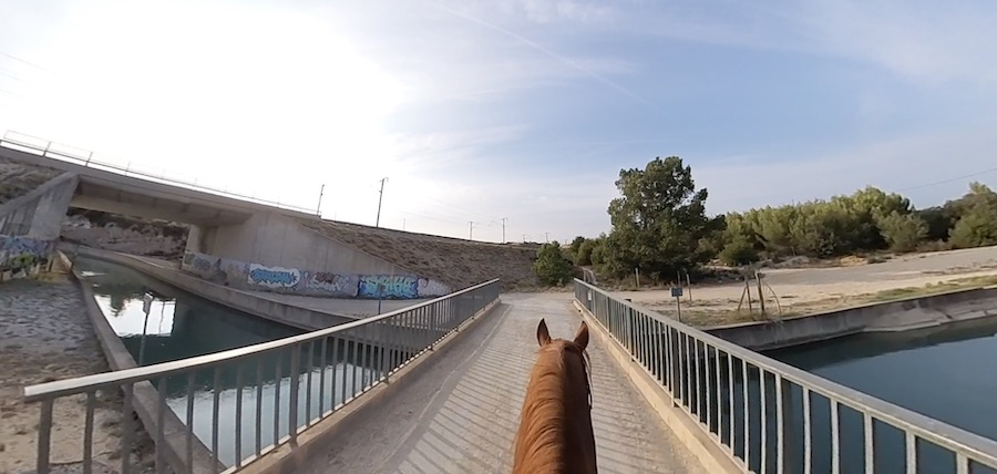 Vidéos sur cheval : 6 raisons de se filmer en balade