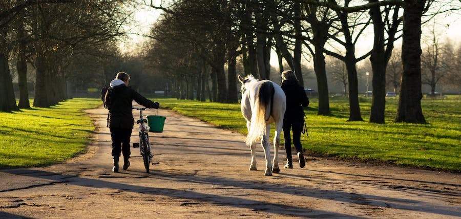 Cherche coéquipier randonnée : et si c’était un piéton ou un cycliste ?