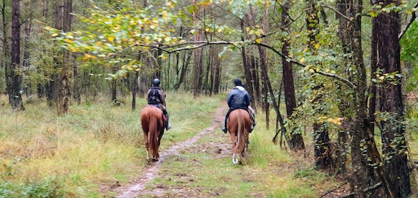 rambouillet promenade a cheval