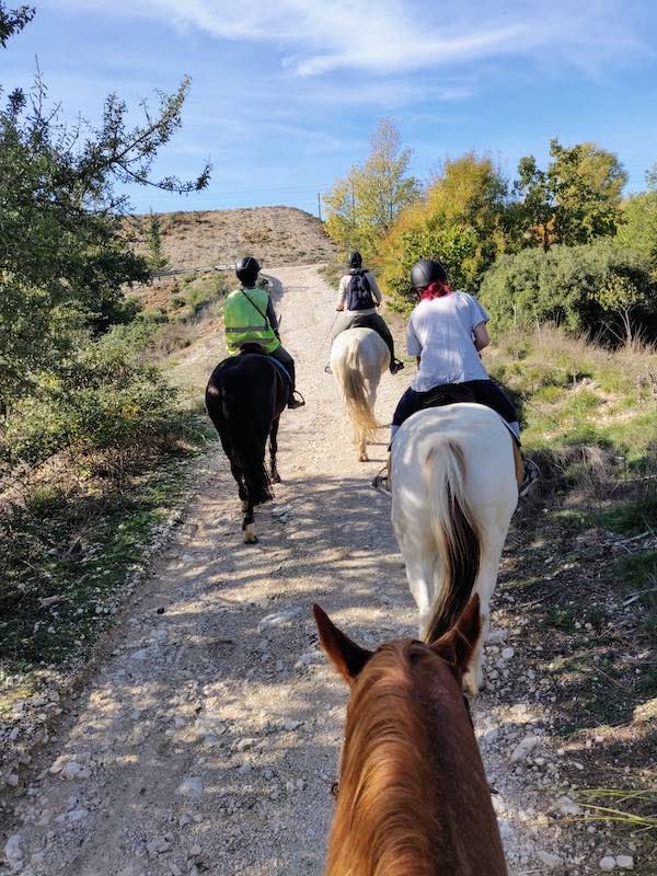 qualites cheval balade