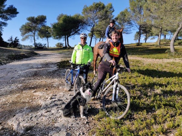 balade cheval chien velo