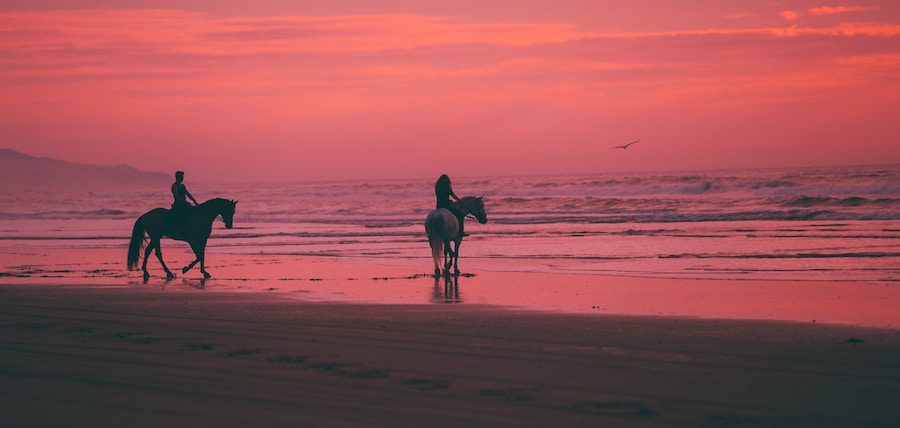 Insta 360 studio : prise en main du logiciel d&rsquo;édition de vos vidéos