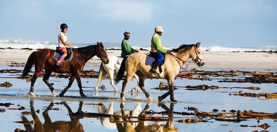 cheval enerve en balade