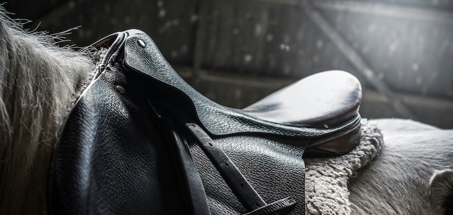 Selles équitation : comment se passe un rendez-vous avec une saddle fitter ?