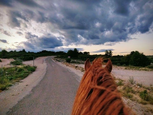 vent et balade à cheval