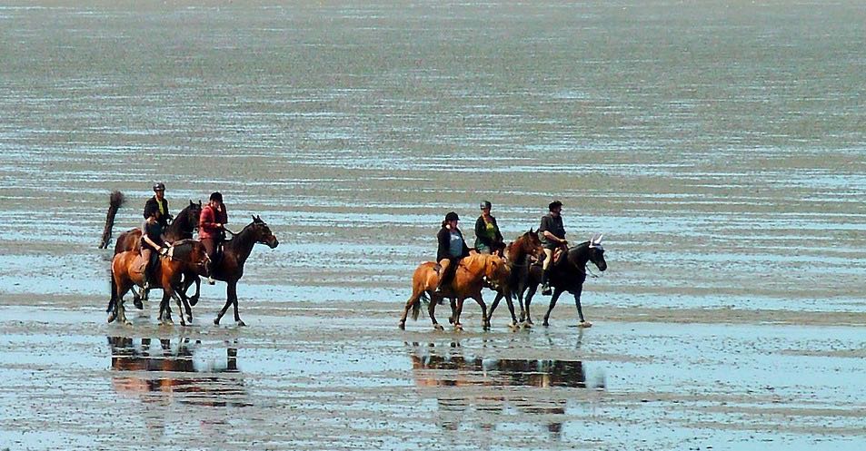 balade a cheval sur plage