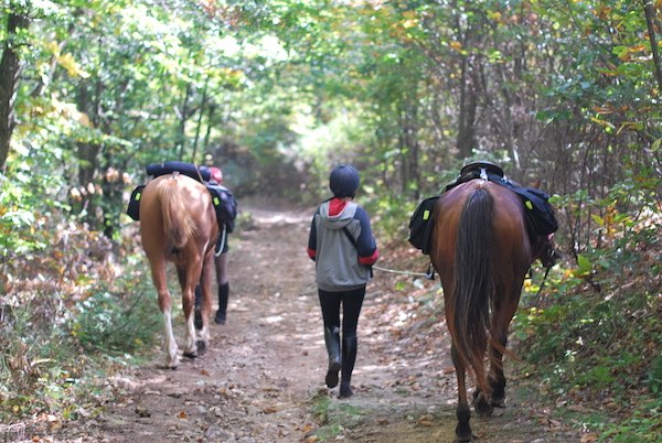 pantalon rando a cheval