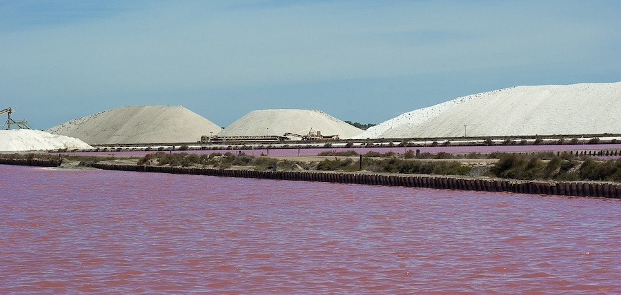 Balade cheval Aigues Mortes : quelle manade choisir ?