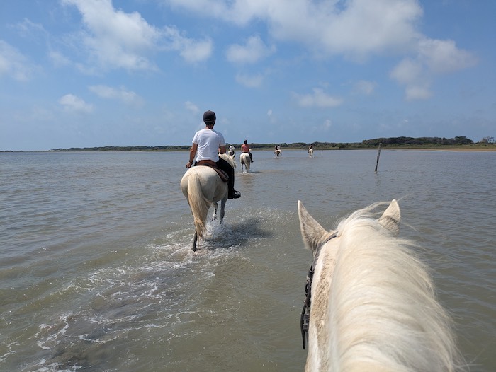 balade a cheval pieds dans l eau camargue