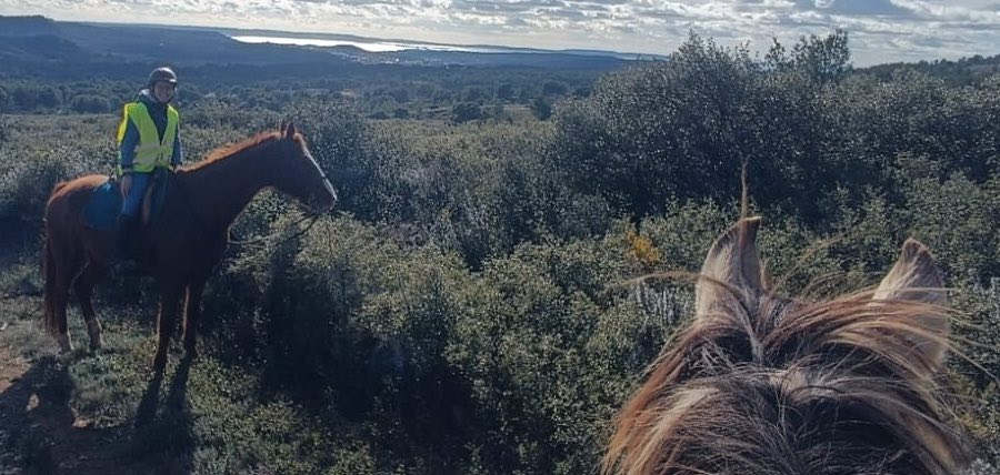 Tik Tok cheval : 6 conseils pour trouver des cavaliers de balade à cheval sur Tik Tok  