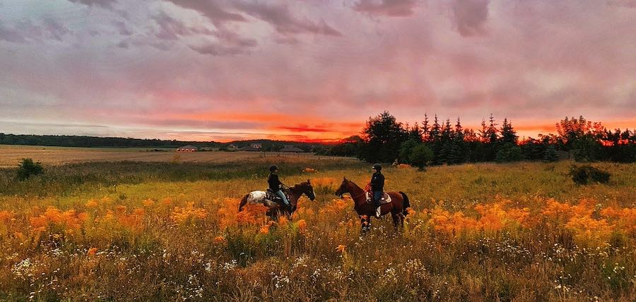 selle randonnee cheval