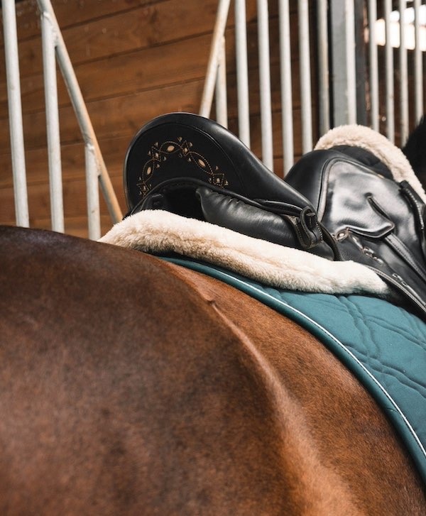 selle tapis amortisseur