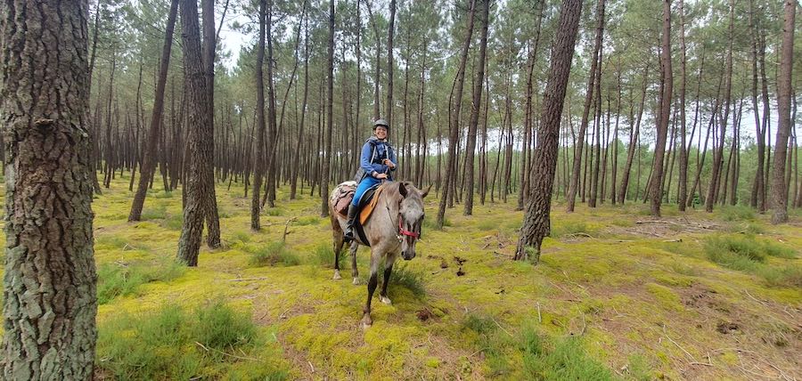 Noeud longe : tuto du noeud de cavalerie pour partir en rando à cheval