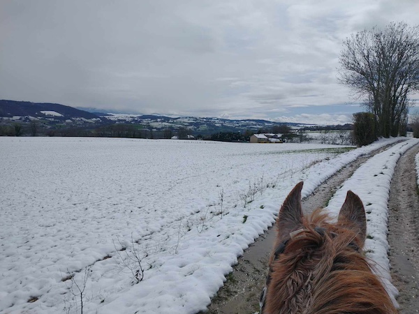 a cheval dans la neige