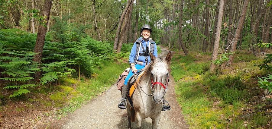 Balade à cheval Sarthe : 11 circuits équestres clés en main en Sud-Est Manceau