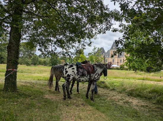 chateau de segrais a cheval