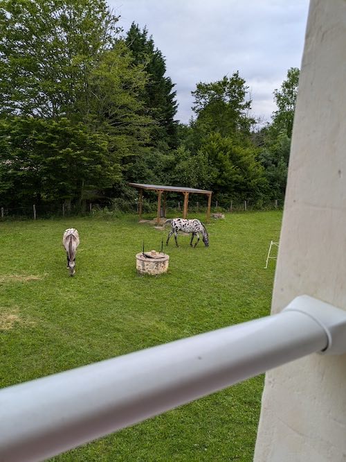 gite equestre sarthe