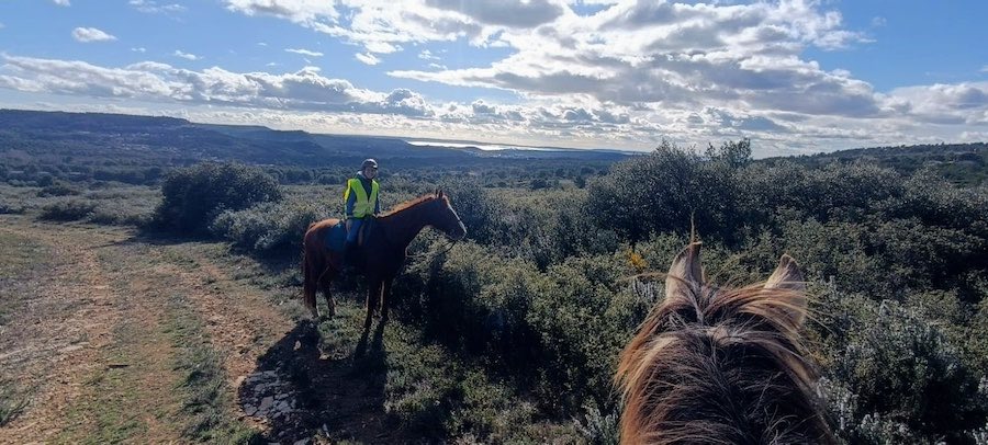 prevention feu de foret