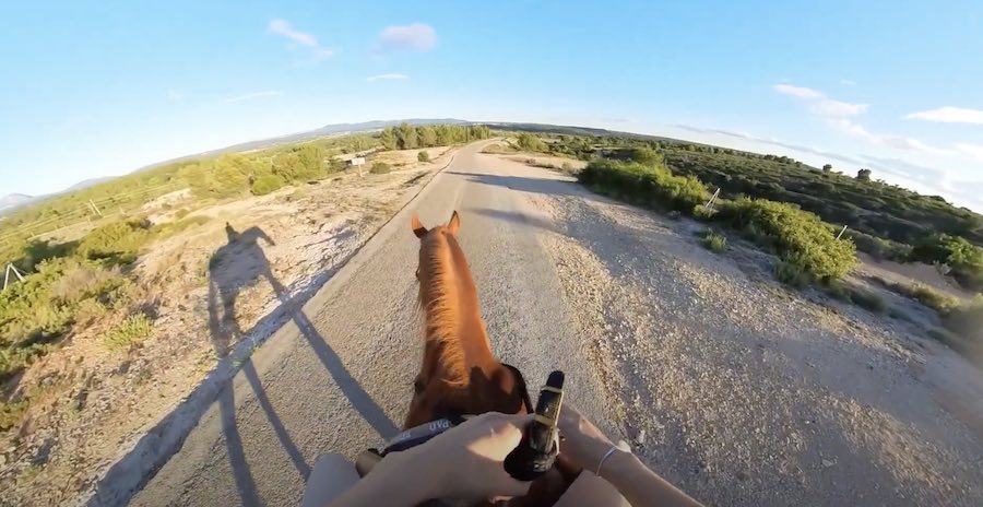 Insta 360 x3 prix et mon avis après un an d’utilisation en sport de plein air