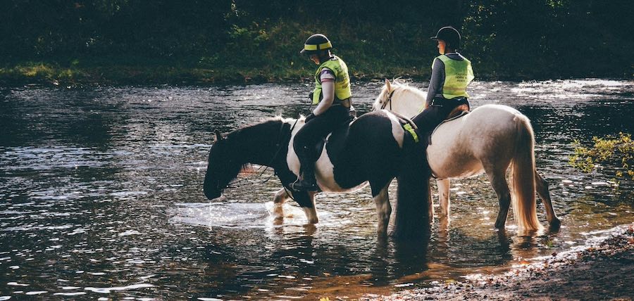 Selle de randonnée cheval : 8 conseils pour bien la choisir
