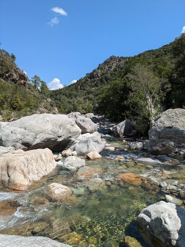 Balade a cheval riviere corse