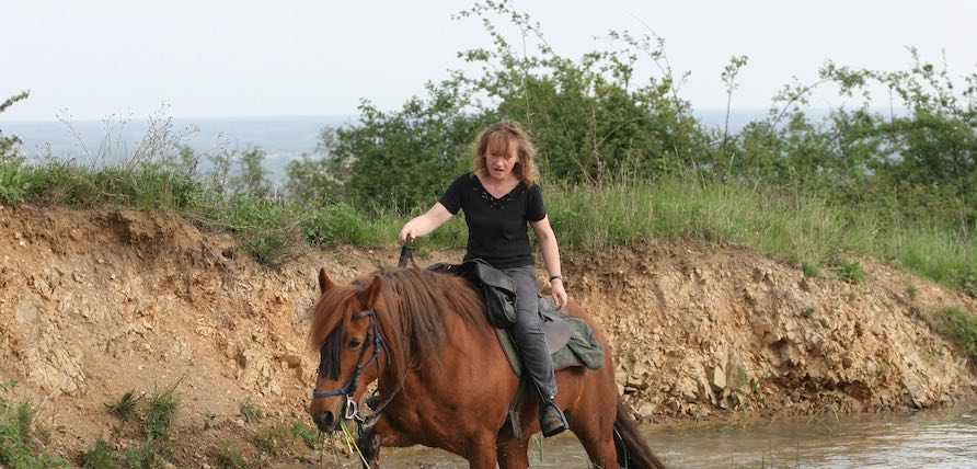 Interview – Dans lʼunivers de Véronique de Saint Vaulry : psychologie du cheval, art et écriture
