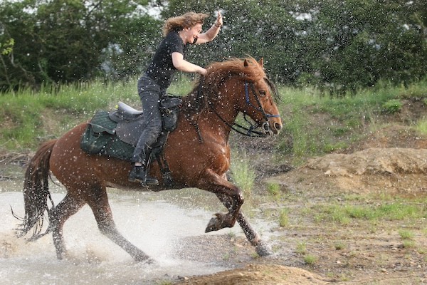 Veronique de saint vaulry