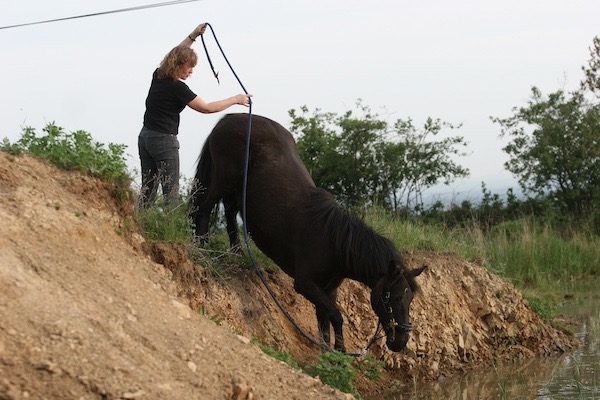 veronique de saint vaulry et alto