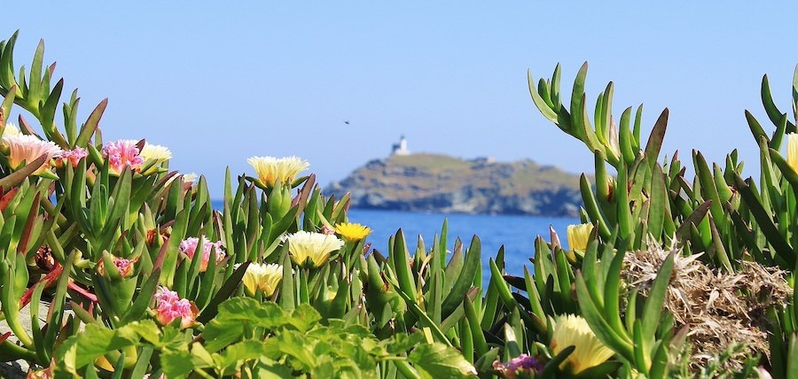 Corse balade à cheval : 7 conseils pour préparer et choisir votre balade