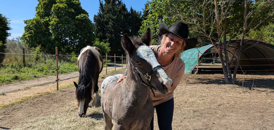 Rencontre avec Amandine, comportementaliste équin en Provence