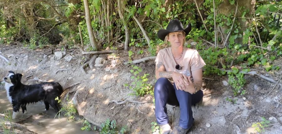 Photographe cheval : l&rsquo;interview d&rsquo;Amandine en Provence