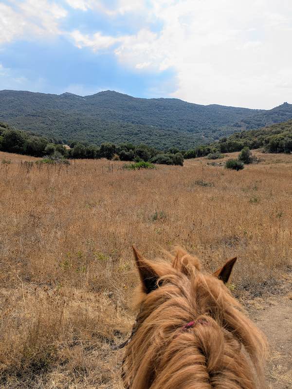 campagne corse balade a cheval