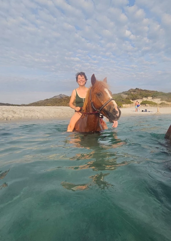 cheval tire la langue dans la mer