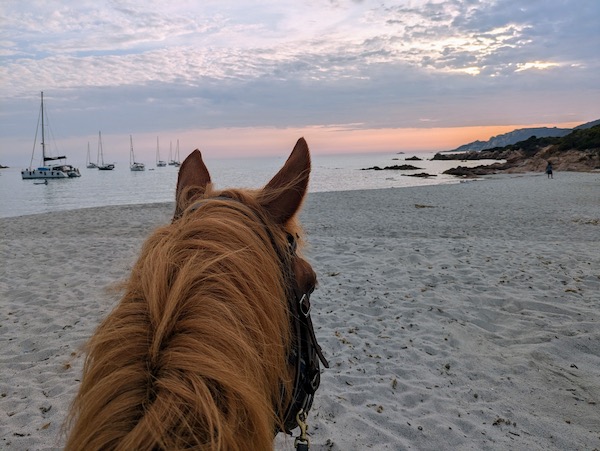 corse coucher de soleil cheval
