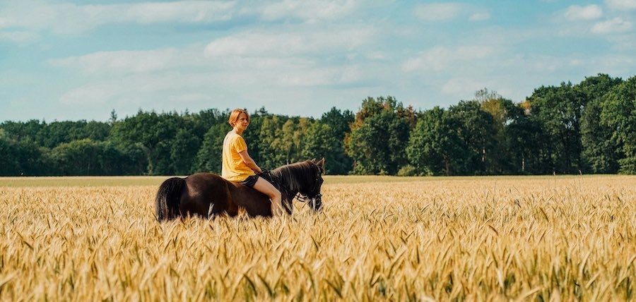 Cadeau pour passionné d’équitation : 12 idées pour les enfants, les ados et les adultes