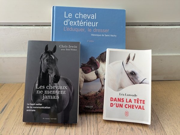 cadeaux pour passionné d'équitation
